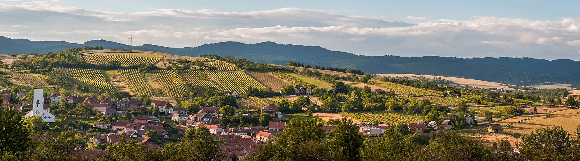 panorama_zadovice